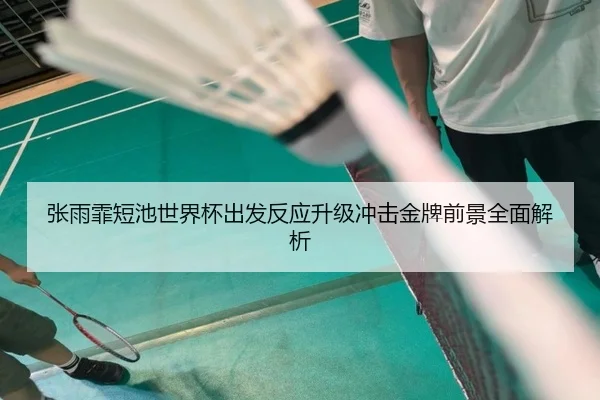 张雨霏短池世界杯出发反应升级冲击金牌前景全面解析